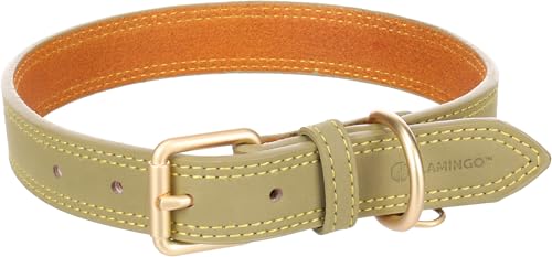 Flamingo Halsband für Hund Virginia grün L 43-53cm 25mm - Mit einem Ring für ID-Anhänger - Genäht für extra Stärke Flamingo Halsband für Hund Virginia grün L 43-53cm 25mm - Mit einem Ring für ID-Anhänger - Genäht für extra Stärke von Flamingo