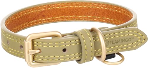 Flamingo Halsband für Hund Virginia grün XS/S 24-30cm 15mm - Mit einem Ring für ID-Anhänger - Genäht für extra Stärke Flamingo Halsband für Hund Virginia grün XS/S 24-30cm 15mm - Mit einem Ring für ID-Anhänger - Genäht für extra Stärke von Flamingo