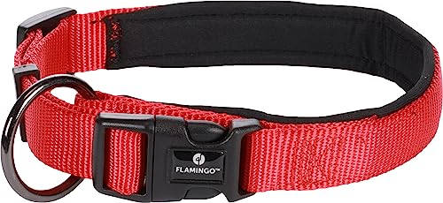 Halsband Abbi ROT S 40-45CM 20MM Halsband Abbi ROT S 40-45CM 20MM von Flamingo
