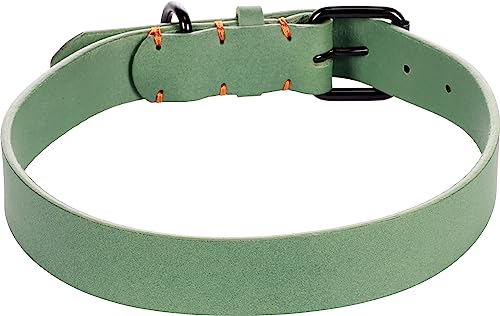 Halsband LEANO GRÜN XXL 52-62CM 30MM Halsband LEANO GRÜN XXL 52-62CM 30MM von Flamingo