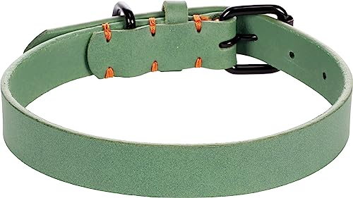 Halsband LEANO GRÜN M/L 38-48CM 25MM von Flamingo