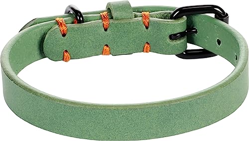 Halsband LEANO GRÜN XS/S 24-30CM 15MM Halsband LEANO GRÜN XS/S 24-30CM 15MM von Flamingo