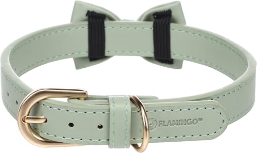Flamingo Halsband mit Schleife NELA Mintgrün – M | 36-44 cm x 20 mm x 4 mm, Qualitätsleder, Stilvoll und Praktisch – Ideal für Cocker Spaniel, Cavalier King Charles Spaniel, Miniature Schnauzer Flamingo Halsband mit Schleife NELA Mintgrün – M | 36-44 cm x 20 mm x 4 mm, Qualitätsleder, Stilvoll und Praktisch – Ideal für Cocker Spaniel, Cavalier King Charles Spaniel, Miniature Schnauzer von Flamingo