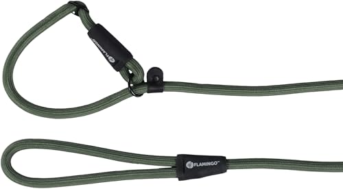 Hund Zugg-Stopp-Leine Cami Grün 1,7m 12mm von Flamingo
