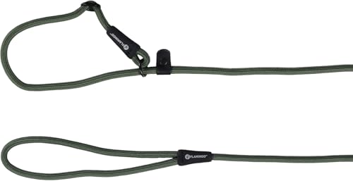 Hund Zugg-Stopp-Leine Cami Grün 1,7m 8mm von Flamingo