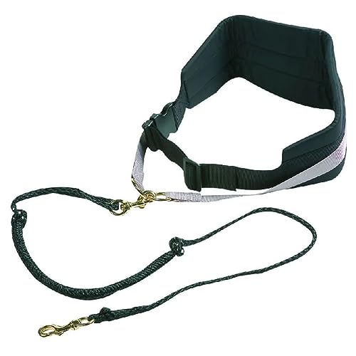 JOGGINGLEINE + HÜFTGURT CANICROSS SCHWARZ Leine 125CM/GURT 80-125CM JOGGINGLEINE + HÜFTGURT CANICROSS SCHWARZ Leine 125CM/GURT 80-125CM von Flamingo