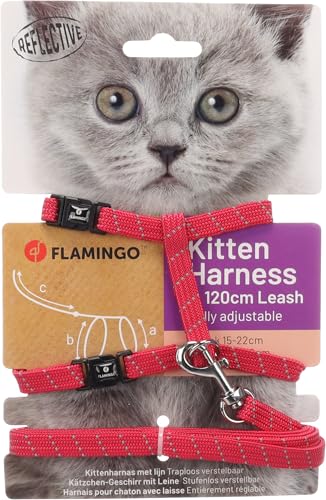 Katze Geschirr mit Leine Kätzchen Elza Korallenrot 15-22cm 20-30cm 120cm 10mm Katze Geschirr mit Leine Kätzchen Elza Korallenrot 15-22cm 20-30cm 120cm 10mm von Flamingo