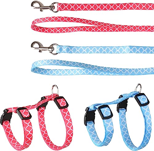 Flamingo Geschirr mit Leine für Kätzchen – Amsi | Verstellbar (15-25 cm, 20-35 cm) | Leinenlänge: 100 cm | Stilvoll & Modisch von Flamingo