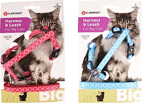 KATZENGESCHIRR + Leine Grosse Katze AMSI 25-40CM 10MM SORTIMENT von Flamingo