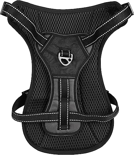 Geschirr Kelso GRAU L 44-64CM 25MM Geschirr Kelso GRAU L 44-64CM 25MM von Flamingo