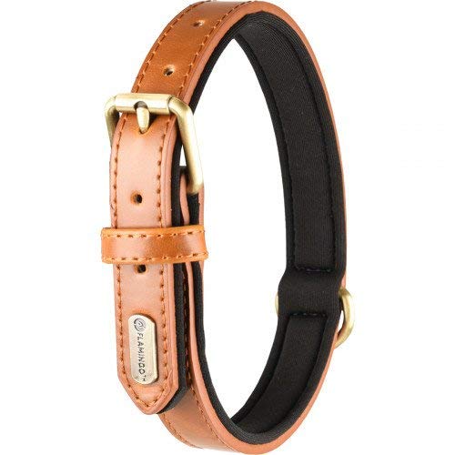 Halsband LYABO Cognac XS 20/25CM 10MM von Flamingo