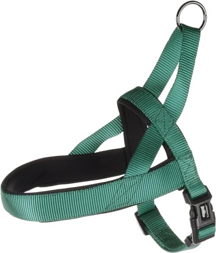 NORWEGISCHES Geschirr Abbi GRÜN M 50-65CM 20MM NORWEGISCHES Geschirr Abbi GRÜN M 50-65CM 20MM von Flamingo