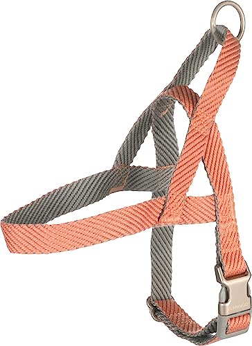 Norweger-Geschirr Elly LACHSROSA S 43-55CM 20MM Norweger-Geschirr Elly LACHSROSA S 43-55CM 20MM von Flamingo