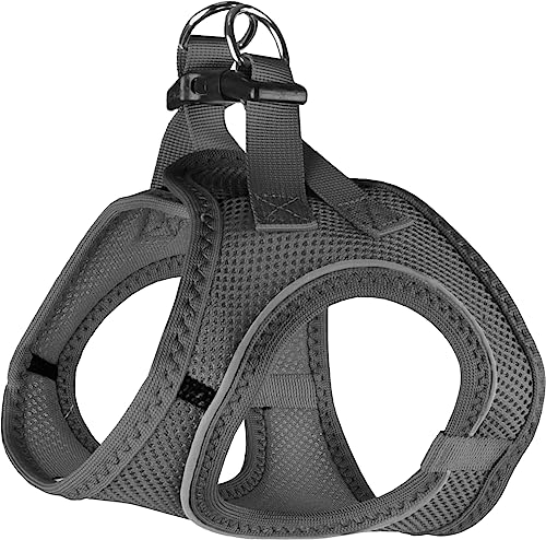 Flamingo Geschirr Step&GO BENTO GRAU XL 49-54CM Flamingo Geschirr Step&GO BENTO GRAU XL 49-54CM von Flamingo