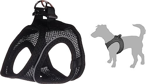 Flamingo Step-Go Bento Geschirr – Schwarz, M (A:30-35 cm, B:41-44 cm, 3 mm), Komfortabel und Verstellbar, Ideal für Französische Bulldogge, Mops, Shih Tzu, Zwergschnauzer usw. Flamingo Step-Go Bento Geschirr – Schwarz, M (A:30-35 cm, B:41-44 cm, 3 mm), Komfortabel und Verstellbar, Ideal für Französische Bulldogge, Mops, Shih Tzu, Zwergschnauzer usw. von Flamingo