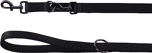 TRAININGSLEINE Abbi SCHWARZ 250CM 25MM TRAININGSLEINE Abbi SCHWARZ 250CM 25MM von Flamingo
