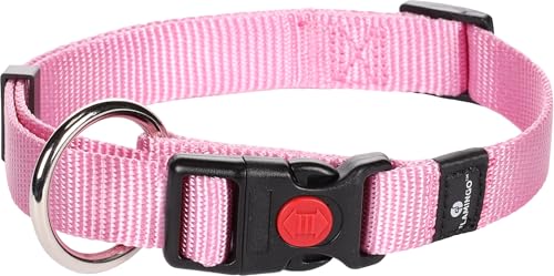 Flamingo Halsband für Hund Ziggi rosa M - 40-55cm 20mm - Stufenlos verstellbar - Mit zugentlastung - Klickschnalle mit Sicherheitsschloss Flamingo Halsband für Hund Ziggi rosa M - 40-55cm 20mm - Stufenlos verstellbar - Mit zugentlastung - Klickschnalle mit Sicherheitsschloss von Flamingo