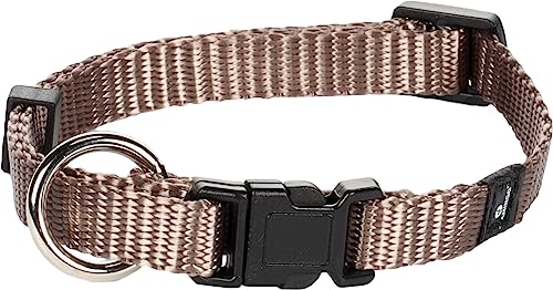 Flamingo Halsband für Hund Ziggi Taupe XS - 20-35cm 10mm - Stufenlos verstellbar - Mit zugentlastung Flamingo Halsband für Hund Ziggi Taupe XS - 20-35cm 10mm - Stufenlos verstellbar - Mit zugentlastung von Flamingo