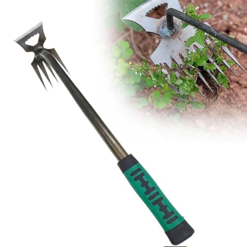 Flanliy Unkrautstecher, Unkraut Entferner Gerät, Gartengeräte Edelstahl, Gartenarbeit Hand Unkrautstecher mit Griff, Unkrautjäten Gartengeräte Entwurzelung Jäten Werkzeug für Outdoor Garten (5 Zähne) von Flanliy