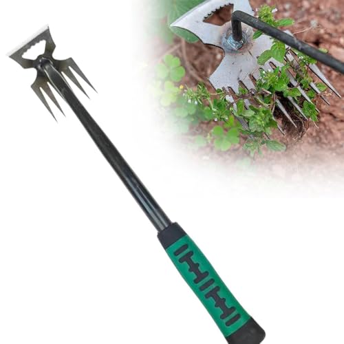 Flanliy Unkrautstecher, Unkraut Entferner Gerät, Gartengeräte Edelstahl, Gartenarbeit Hand Unkrautstecher mit Griff, Unkrautjäten Gartengeräte Entwurzelung Jäten Werkzeug für Outdoor Garten (6 Zähne) von Flanliy