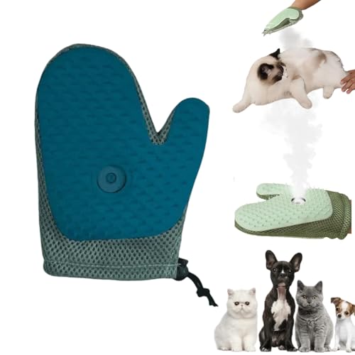 Tierhaarentferner Handschuh,2025 Neu Haarentfernungshandschuh mit Spray, Antistatische Tierhaarentferner, Handschuh Katzenbürste mit Dampf, Handschuh Tierhaarentfernung für Hund und Katze (C*1) von Flanliy