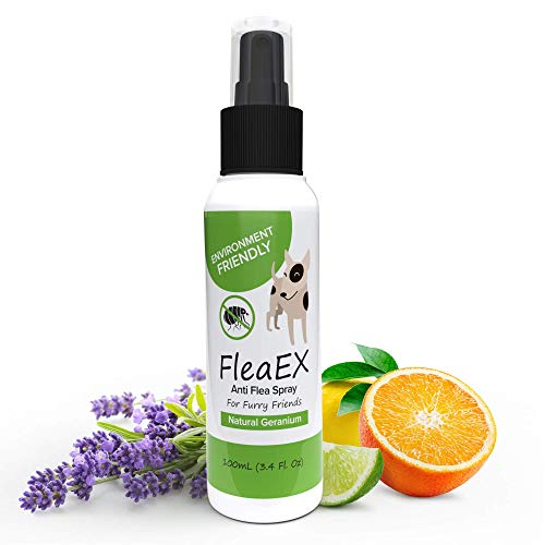 Flohspray für Hunde FleaEX | 100ml BIO Flohmittel Hunde zum Sprühen | Natürliches Anti Flohspray mit Zitronenöl | Flohhalsband für Hunde Alternative von FleaEx