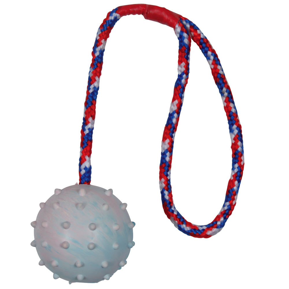 Trixie Hundespielzeug Gummiball mit Schnur + Fleischeslust meat & treat Trainingswurst gratis! - 1 Ball ca. Ø 6 cm, Kordel 30 cm lang + 80 g Geflügel von Fleischeslust