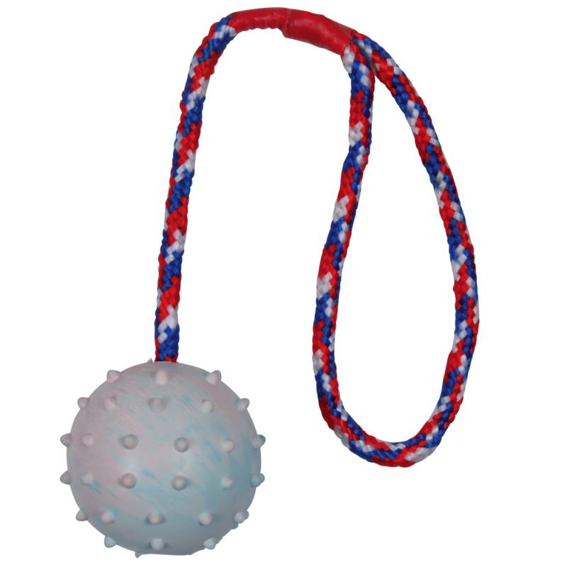 Trixie Hundespielzeug Gummiball mit Schnur + Fleischeslust meat & treat Trainingswurst gratis! - 1 Ball ca. Ø 6 cm, Kordel 30 cm lang + 80 g Geflügel von Fleischeslust