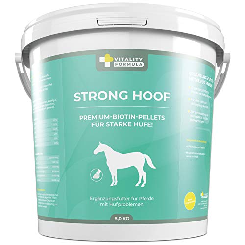 Flex Strong Hoof 5 kg Eimer Premium Ergänzungsfuttermittel für Pferde | Biotin-Pellets mit Zink, Kupfer und Vitaminen zur Nahrungsergänzung | bei Hufproblemen | besseres Hufwachstum Flex Strong Hoof 5 kg Eimer Premium Ergänzungsfuttermittel für Pferde | Biotin-Pellets mit Zink, Kupfer und Vitaminen zur Nahrungsergänzung | bei Hufproblemen | besseres Hufwachstum von Flex