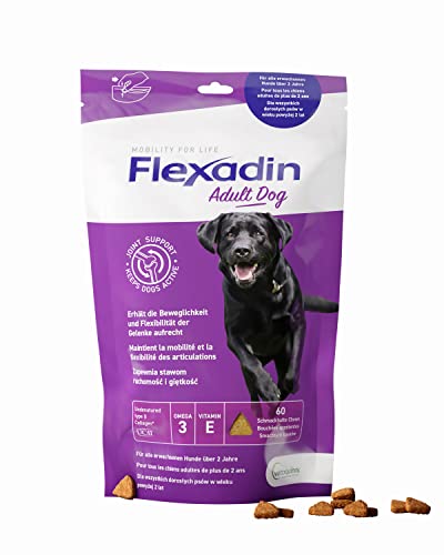 Flexadin® Adult Dog| Für gesunde Gelenke von Erwachsenen Hunden|mit Nicht denaturiertem Kollagen Typ II (UC-II®) – 60 Gelenkleckerli von Flexadin