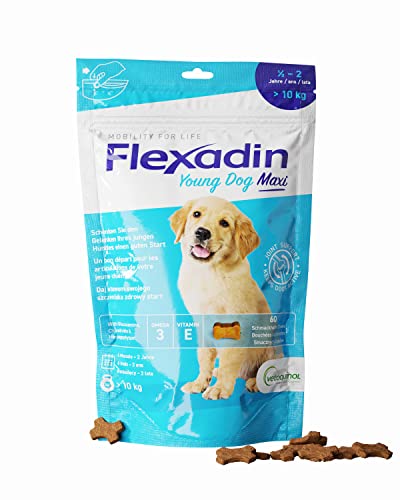 Flexadin® Young Dog Maxi| Für gesunde Gelenke von Jungen Hunden ab 10 kg | mit Glucosamin, Chondroitin, Omega-3, Teufelskralle – 60 Gelenkleckerli von Flexadin