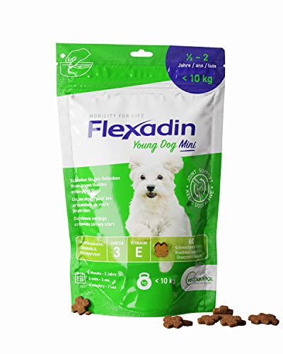 Flexadin ® Young Dog Mini| Für gesunde Gelenke von Jungen Hunden bis 10 kg | mit Glucosamin, Chondroitin, Omega-3 & Teufelskralle– 60 Gelenkleckerli von Flexadin