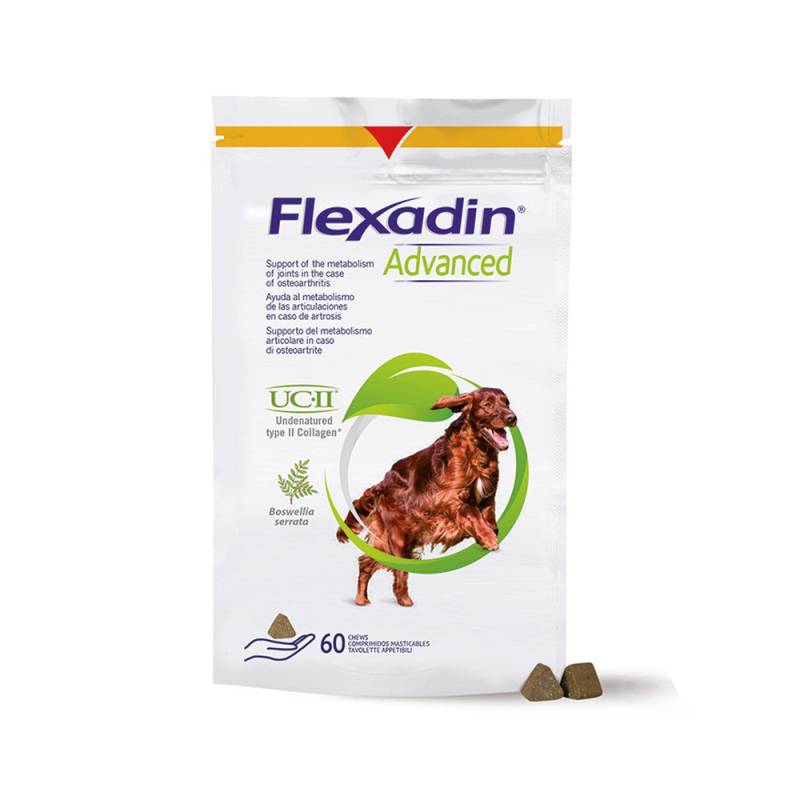 Flexadin Advanced - 60 Kautabletten von Flexadin