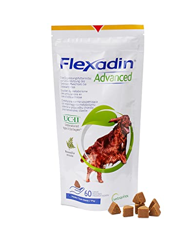 FLEXADIN ADVANCED® Hund | 60 Gelenkleckerli | Für die Gelenkgesundheit | Nicht denaturiertes Kollagen Typ II und Boswellia | Kann dabei helfen Gelenkbeschwerden zu verringern von Vetoquinol