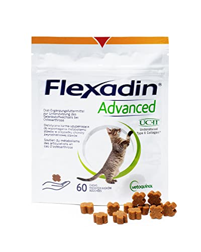 FLEXADIN Advanced® Katze |Innovativer Ansatz für die Gelenkgesundheit | undenaturiertes Kollagen Typ II – 60 Gelenkleckerli von Flexadin