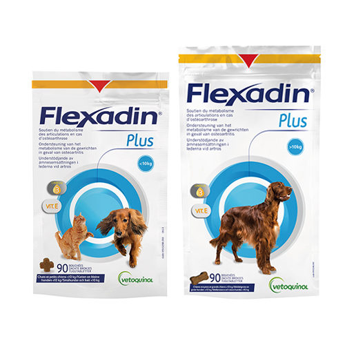 Flexadin Plus Maxi (ab 10 kg) - 30 Stück von Flexadin