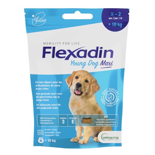 Vetoquinol – Flexadin Welpe Maxi – Unterstützung der Gelenkbeweglichkeit – für Welpen von 6 Monaten bis 2 Jahren, > 10 kg – hergestellt in Frankreich – 60 Stück von Flexadin