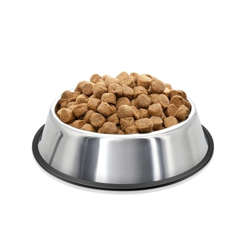 Flexzion Edelstahl-Hundenapf, kein Durcheinander, kein Verschütten, Wassernapf mit Gummiboden, Hundenäpfe für mittelgroße Hunde, Futter- und Wassernapf, Tierfutterhalter, 22 cm von Flexzion