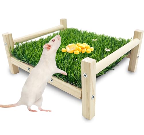 FlidRunest Holz-Ratten-Futtersuchspielzeug, Kunstrasen-Futtermatte für Ratten, sichere Rattenanreicherung, Spielzeug, Aktivitäten, Langeweile, hängende Rattenbett-Spielzeug für Haustier-Ratten FlidRunest Holz-Ratten-Futtersuchspielzeug, Kunstrasen-Futtermatte für Ratten, sichere Rattenanreicherung, Spielzeug, Aktivitäten, Langeweile, hängende Rattenbett-Spielzeug für Haustier-Ratten von FlidRunest
