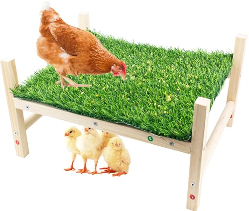 FlidRunest Hühnerspielzeug, Kunstrasen Futterbett für Huhn, Hühner, Geflügel, Küken, Slow Feeder Release Peck Spielzeug, Hühnerstall Spielzeug für Hühner reduzieren Langeweile und Spaß pflegen FlidRunest Hühnerspielzeug, Kunstrasen Futterbett für Huhn, Hühner, Geflügel, Küken, Slow Feeder Release Peck Spielzeug, Hühnerstall Spielzeug für Hühner reduzieren Langeweile und Spaß pflegen von FlidRunest