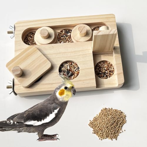 FlidRunest Vogel-Puzzle-Spielzeug aus Holz für Papageien, Sittiche, Nymphensittiche, Sonnensittiche, Kaique, Kakadu – interaktives Spielzeug für kleine Haustiere, geistige Bereicherung FlidRunest Vogel-Puzzle-Spielzeug aus Holz für Papageien, Sittiche, Nymphensittiche, Sonnensittiche, Kaique, Kakadu – interaktives Spielzeug für kleine Haustiere, geistige Bereicherung von FlidRunest