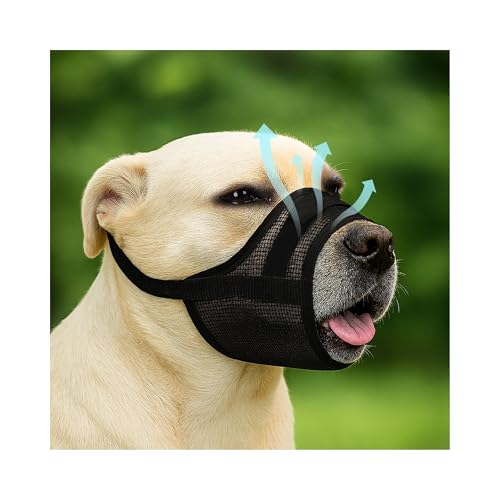 DM Large von Flintstone