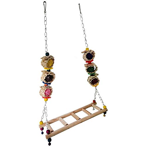 Flisdtry Hühnerschaukel aus , zum Aufhängen, Huhnschaukel, , bunt, für Hühner, , Papageien, Trainieren Flisdtry Hühnerschaukel aus , zum Aufhängen, Huhnschaukel, , bunt, für Hühner, , Papageien, Trainieren von Flisdtry
