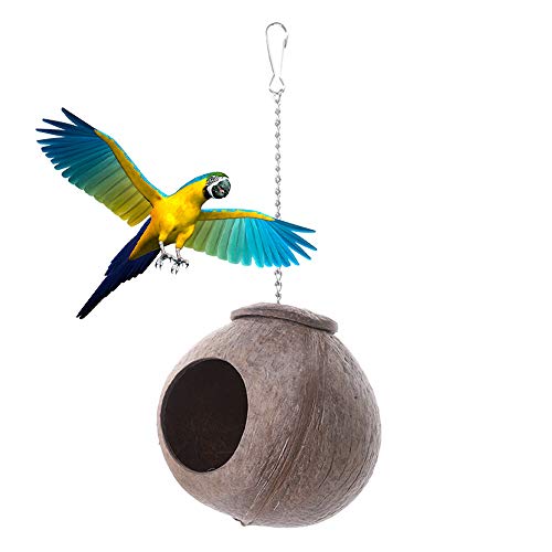 Fliyeong 1 x kreatives Vogelnest aus Kokosnussschale mit Kette zum Aufhängen für Vögel, Papageien, Käfig, Spielzeug, Schaukelhaus für Vögel, praktisch und beliebt. von Fliyeong