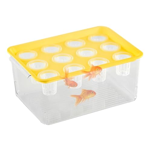 Aquaponischer Pflanzer und Aquarium für Betta -Fische, Betta Fischtank | Desktop -Aquarium,Propagationsstation für Sukkulenten und Zimmerpflanzen Aquaponischer Pflanzer und Aquarium für Betta -Fische, Betta Fischtank | Desktop -Aquarium,Propagationsstation für Sukkulenten und Zimmerpflanzen von Flkiglm