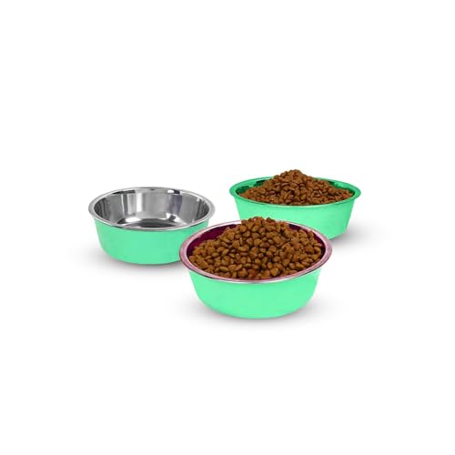 Flooof Hundenäpfe doppelwandig isoliert mit rutschfester Gummiunterseite, Edelstahl, kein Verschütten, Wassernapf für Hunde und Katzen, 907 ml, Grün von Flooof