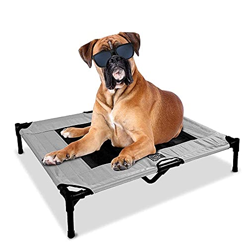 Just Chillin' erhöhtes Hundebett für drinnen und draußen, leicht und tragbar, Chill in Style auf erhöhtem atmungsaktivem Netzgewebe von Floppy Dawg