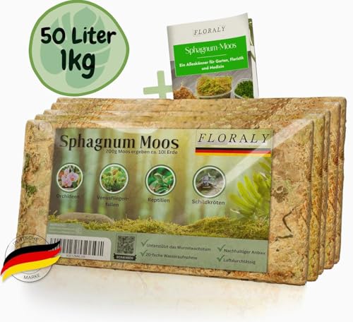 Floraly 1000g Premium Sphagnum-Moos für Pflanzen | geeignet für Orchideen, Bromelien, Terrarium, Schildkröte UVM. | besonders langlebiges Torf-Moos, Peat Moss Sphagnum-Moss für Pflanzen lebend Floraly 1000g Premium Sphagnum-Moos für Pflanzen | geeignet für Orchideen, Bromelien, Terrarium, Schildkröte UVM. | besonders langlebiges Torf-Moos, Peat Moss Sphagnum-Moss für Pflanzen lebend von Floraly