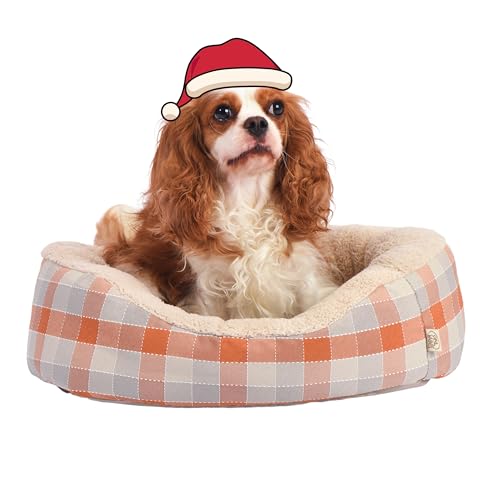 FluffyDream Hundebett für kleine Hunde, superweiches Haustierbett, geeignet für Hunde bis zu 11,3 kg, 53,3 x 43,2 cm, Orange und Weiß kariert FluffyDream Hundebett für kleine Hunde, superweiches Haustierbett, geeignet für Hunde bis zu 11,3 kg, 53,3 x 43,2 cm, Orange und Weiß kariert von FluffyDream