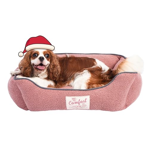 FluffyDream Hundebett für kleine Hunde, superweiches Haustierbett, geeignet für Hunde bis zu 13,6 kg, 61 x 50 cm, Blush FluffyDream Hundebett für kleine Hunde, superweiches Haustierbett, geeignet für Hunde bis zu 13,6 kg, 61 x 50 cm, Blush von FluffyDream